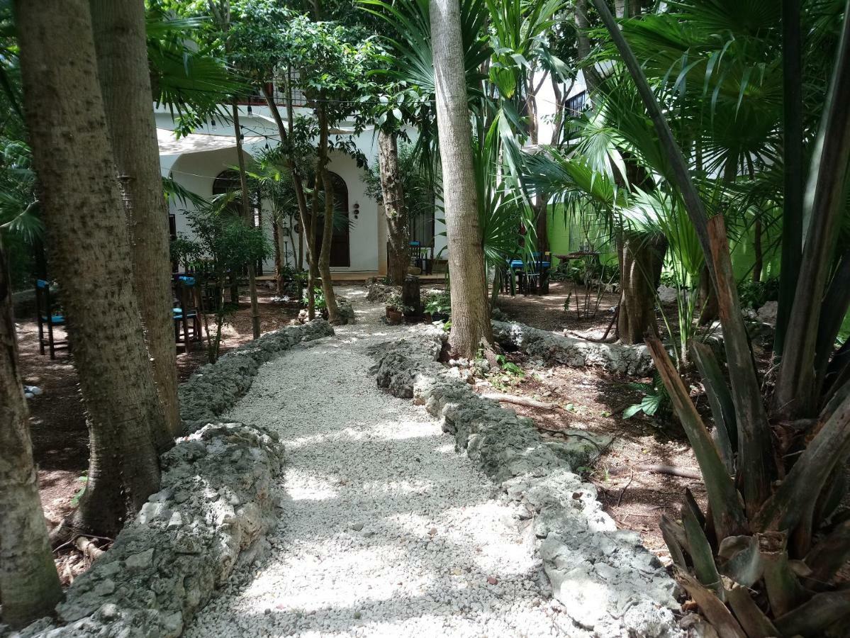 فندق كانكونفي  Casita Rustica En La Selva المظهر الخارجي الصورة
