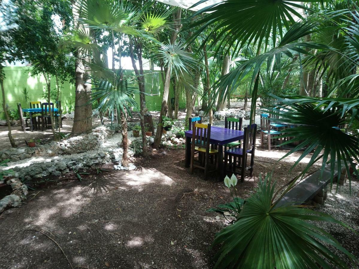 فندق كانكونفي  Casita Rustica En La Selva المظهر الخارجي الصورة
