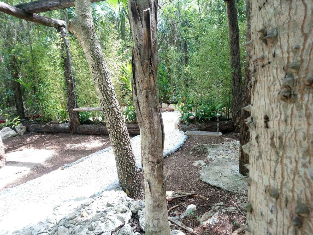 فندق كانكونفي  Casita Rustica En La Selva المظهر الخارجي الصورة