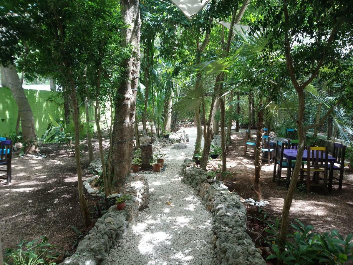 فندق كانكونفي  Casita Rustica En La Selva المظهر الخارجي الصورة
