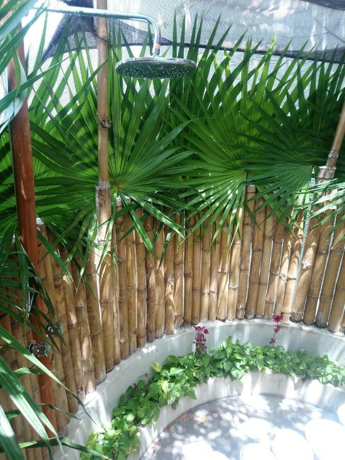 فندق كانكونفي  Casita Rustica En La Selva المظهر الخارجي الصورة