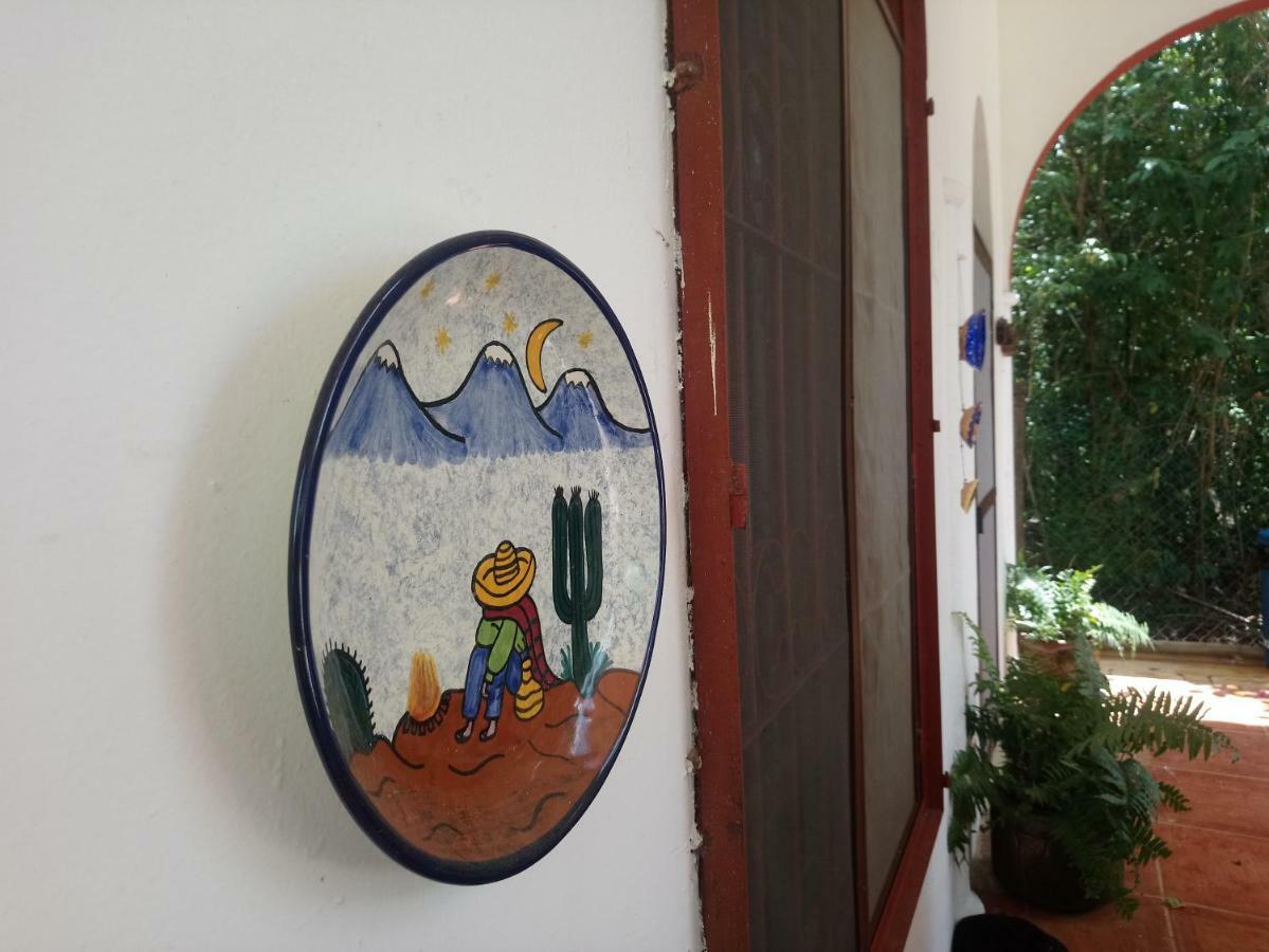 فندق كانكونفي  Casita Rustica En La Selva المظهر الخارجي الصورة