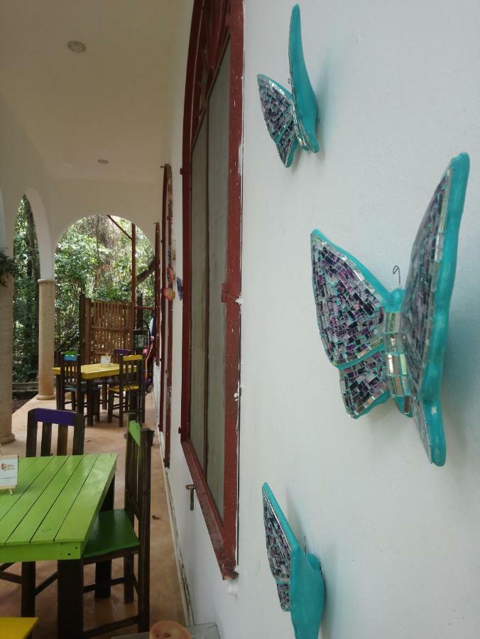 فندق كانكونفي  Casita Rustica En La Selva المظهر الخارجي الصورة